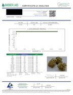 THCA FLOWERS - HASH BURGER 24%| NATURALLY GROWN