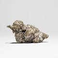 Close-up product image of Polar Bear THCA flower 25%, highlighting the compact bud structure and thick frosted coating.
