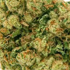 CBD FLOWER - Amnesia 20%