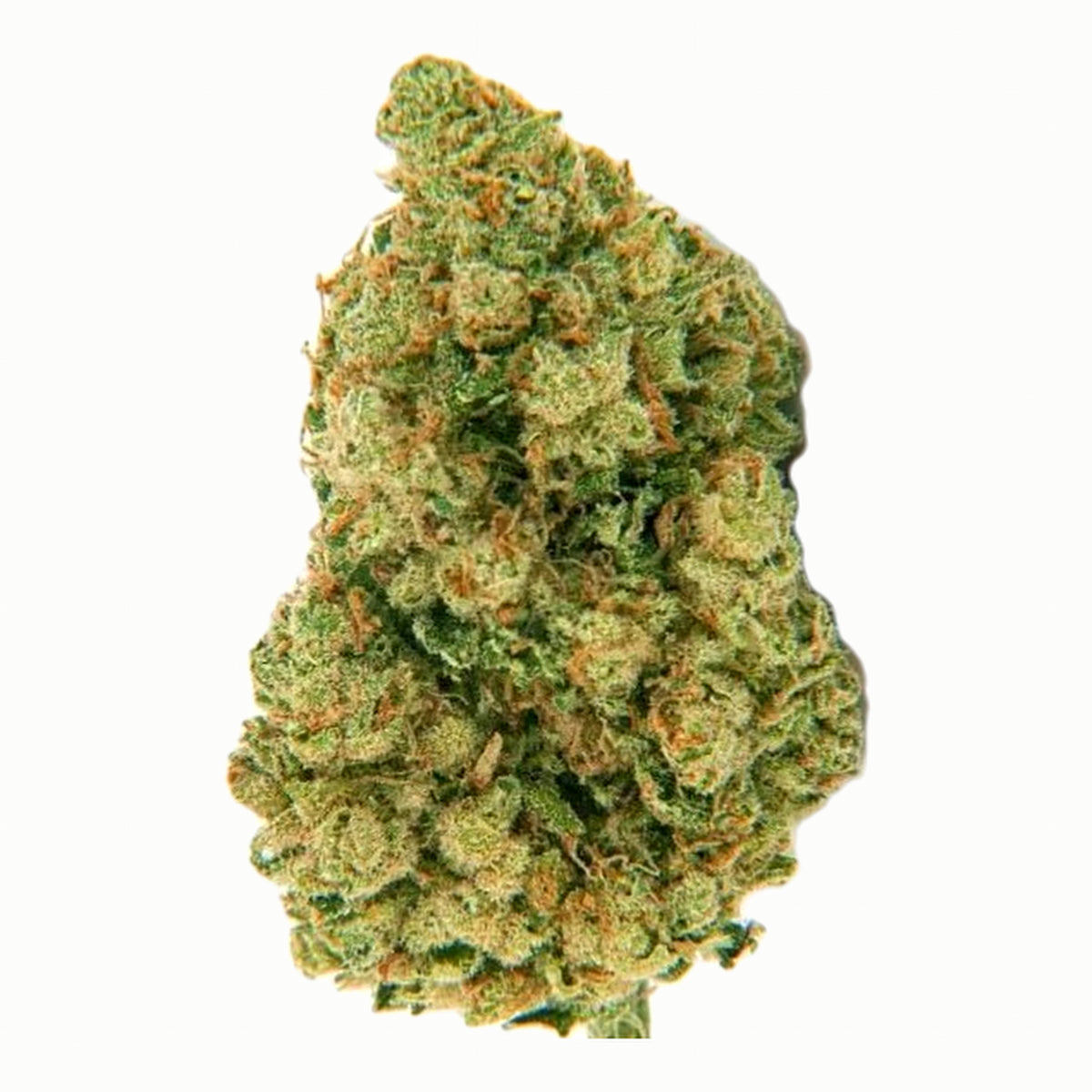 CBD FLOWER - Amnesia 20%
