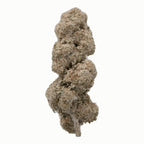 THCA Flower – Amnesia Haze 25%