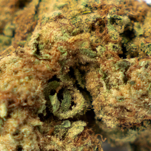 THCA FLOWERS – BLUEBERRY MUFFIN 23% | NATURALLY GROWN