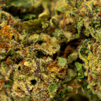 THCA FLOWERS – G41 25% | NATURALLY GROWN
