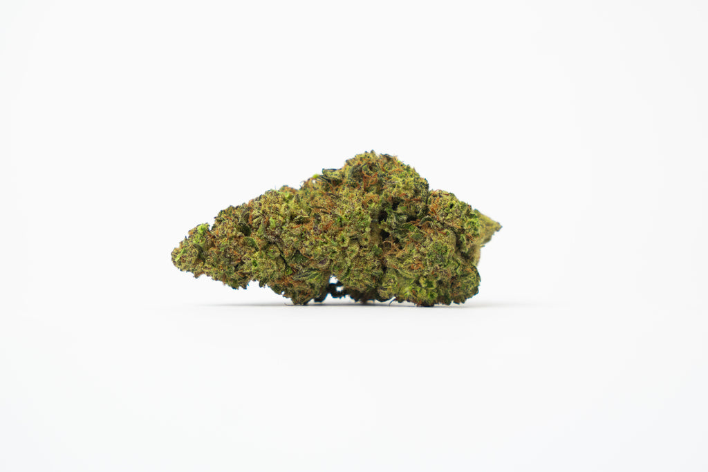 THCA FLOWERS - HASH BURGER 24% (MEDICAL GRADE)