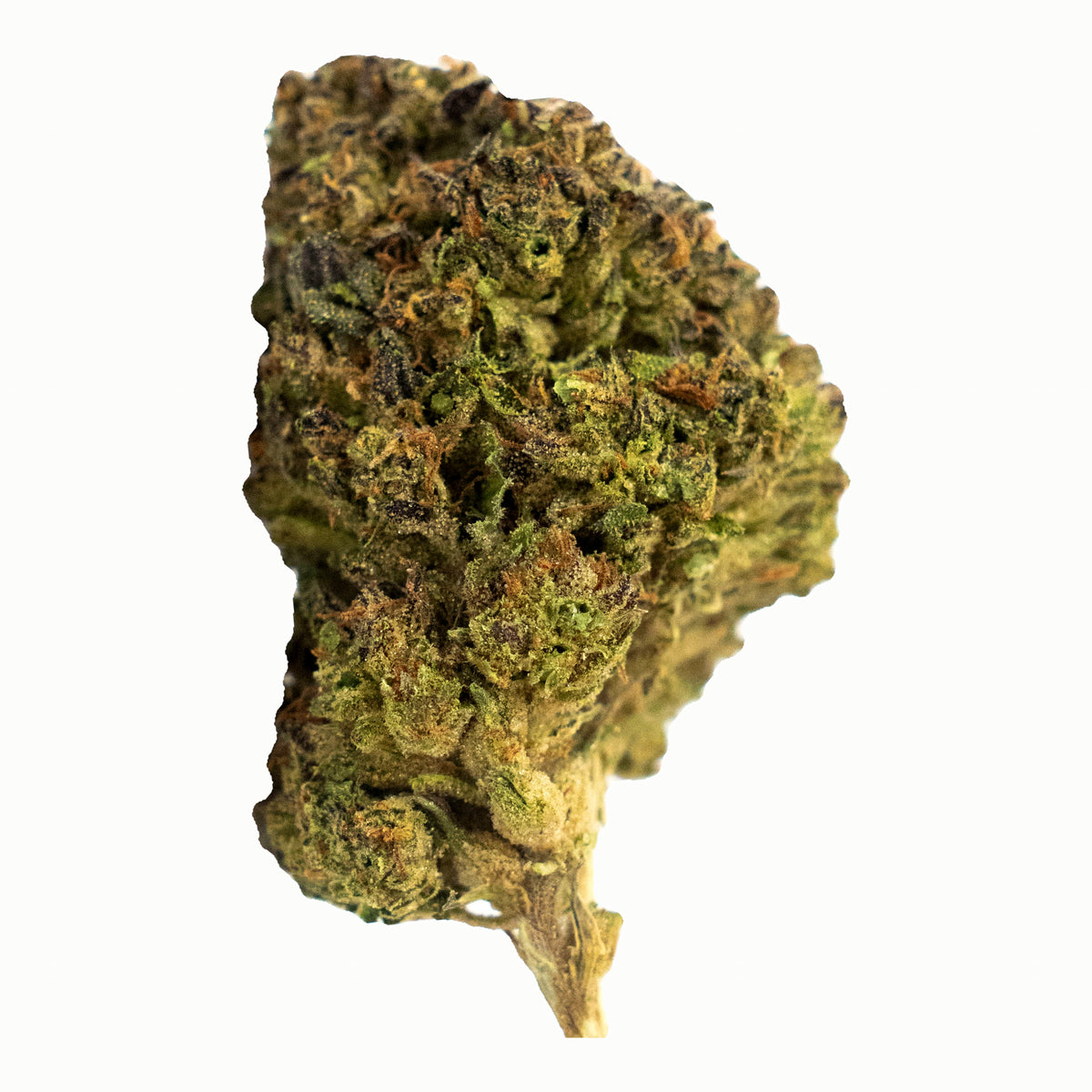 THCA FLOWERS - ICE CREAM CAKE 24%| NATURALLY GROWN