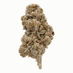 THCA Flower – Orangello 20%