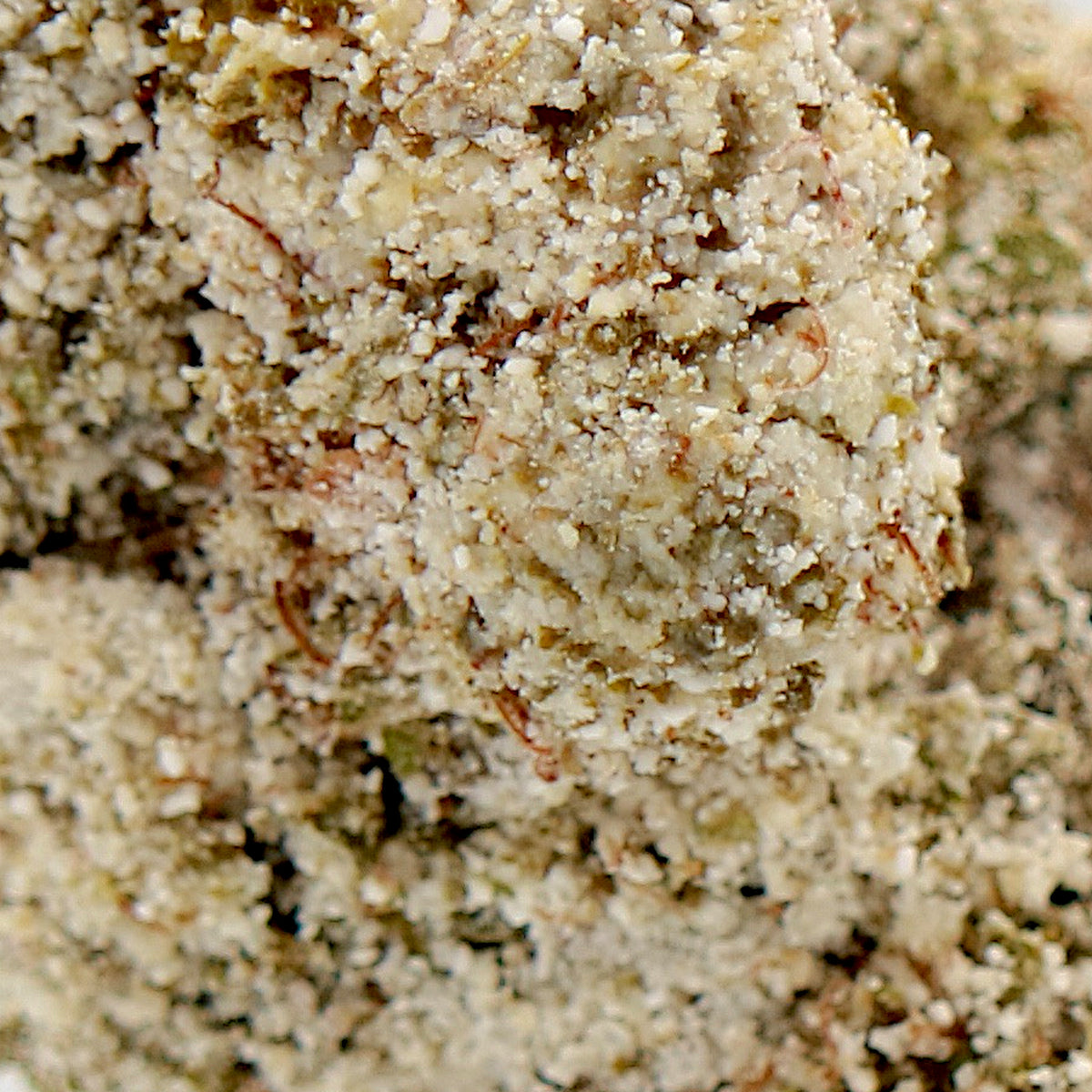 THCA FLOWERS - Polar Bear 25% (COATED)