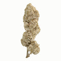 THCA FLOWERS - Polar Bear 25% (COATED)