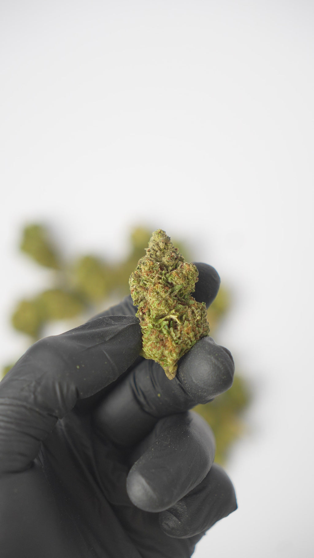 THCA FLOWERS - G41 25% (MEDICAL GRADE)