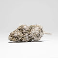 Skywalker THCA flower 22% shown as a frosty, resin-coated bud on a clean light background.
